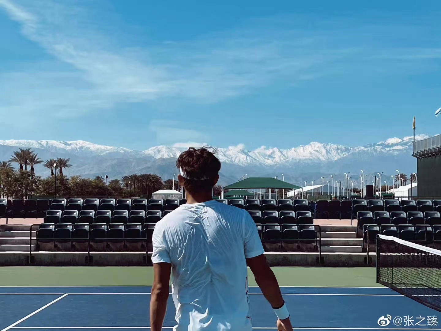 张之臻如何应对长文攻略和good luck？